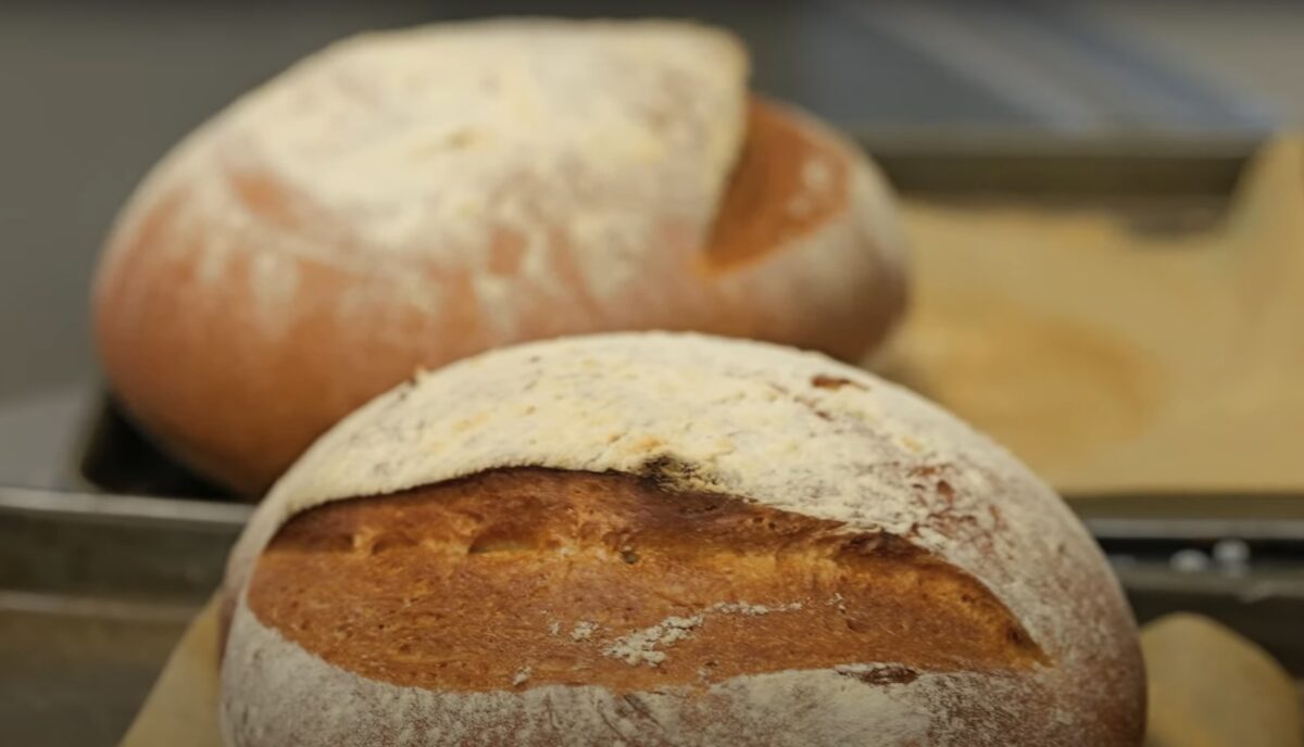 Classic White Bloomer